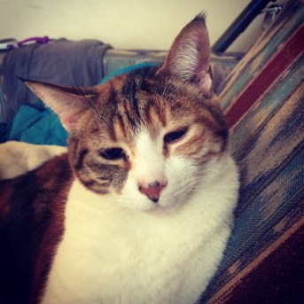 Elly has done a good job of keeping me warm despite the temperatures. 