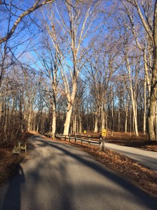 I couldn't resist to go out on such a beautiful day! 