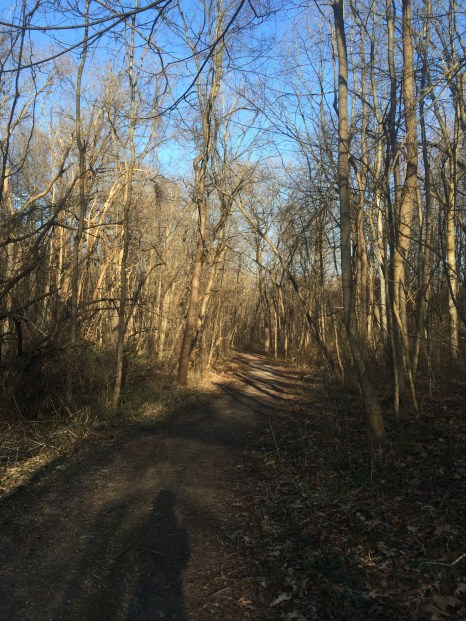 Perfect day for some perfect trails. 
