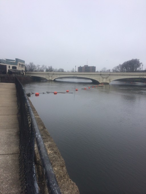 It was a bit of a gloomy day, but it was still a pretty one.