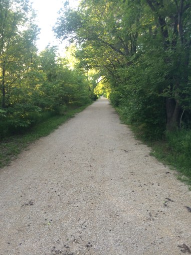 Pretty new running trails. Too bad I felt too unmotivated to enjoy them. 