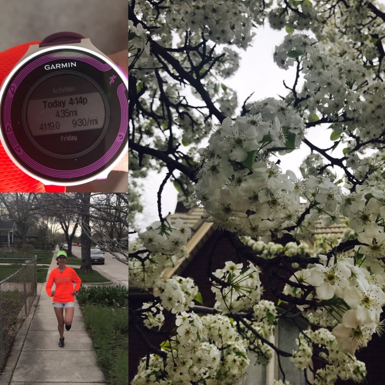 3a02d5ea-477b-44c7-b003-9aeab743ba46